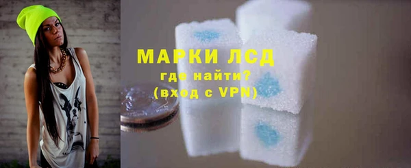 крисы Коряжма